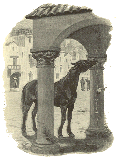 [Illustration]
