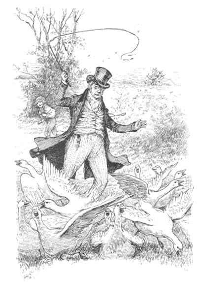 [Illustration]