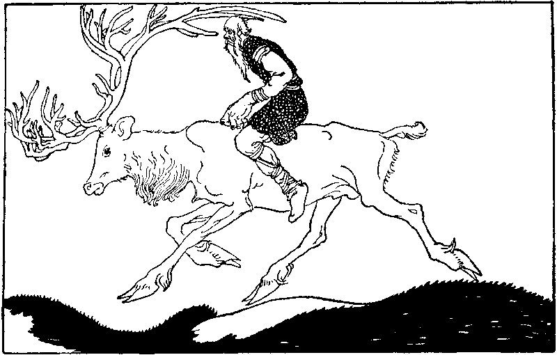 [Illustration]