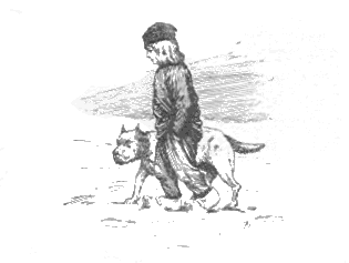 [Illustration]