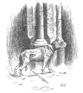 [Illustration]