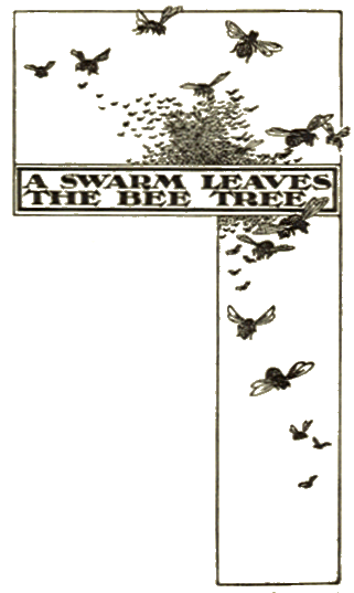 [Illustration]