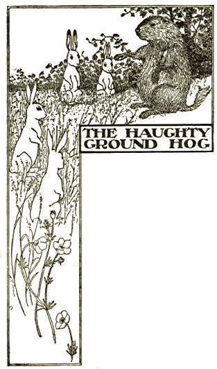 [Illustration]