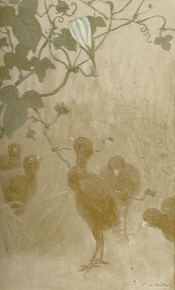 [Illustration]