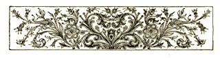 [Illustration]