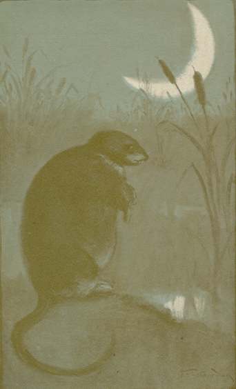 [Illustration]