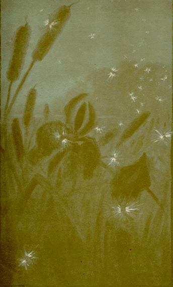 [Illustration]