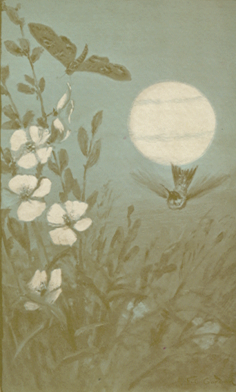 [Illustration]