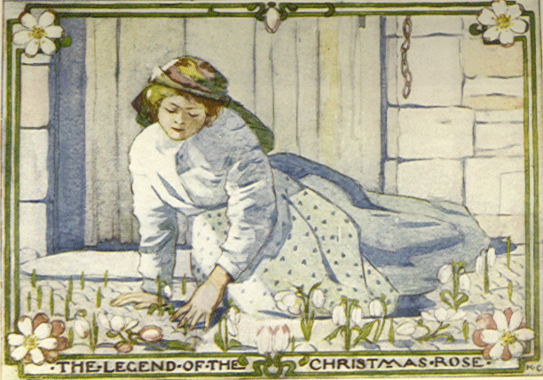 [Illustration]