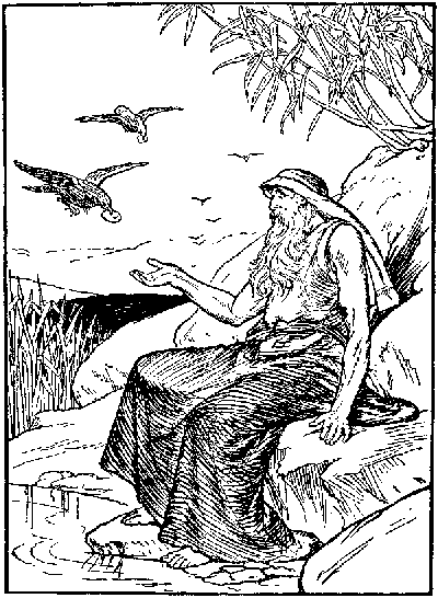 [Illustration]