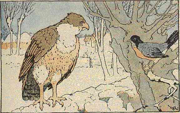 [Illustration]