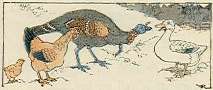 [Illustration]