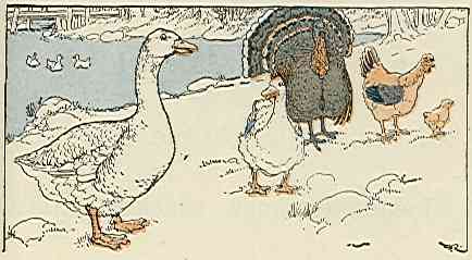 [Illustration]