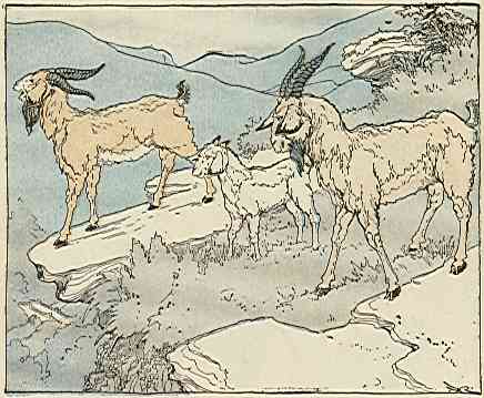 [Illustration]