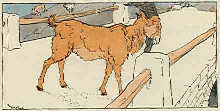 [Illustration]