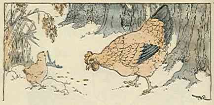 [Illustration]