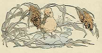 [Illustration]