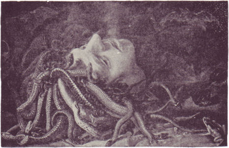 Leonardo da vinci medusa head expert offerta cellulari
